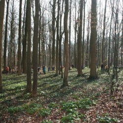 IMG 0129  Medium - Scouts en Gidsen Zaventem 